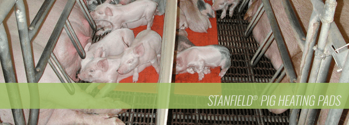 Stanfield Pig Heating Pads