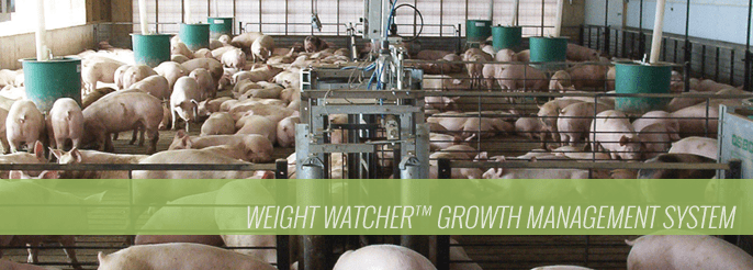 Weight Watcher Growth Management System