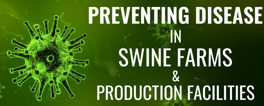 Swine Disease Prevention