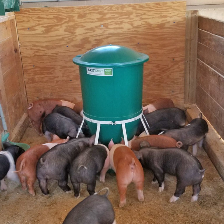 WeantoFinish Feeder, RF2FS Osborne Livestock Equipment