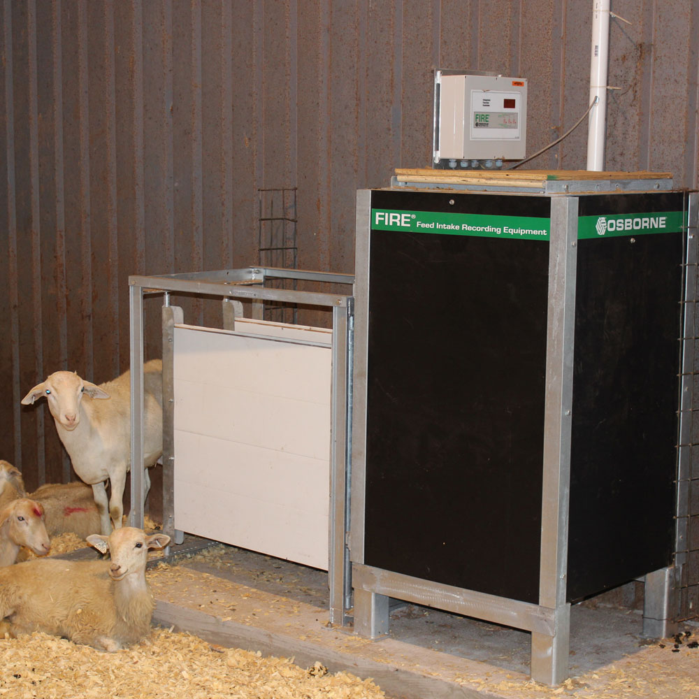 FIRE Sheep Performance Testing System