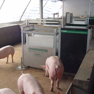 FIRE Pig Performance Testing System