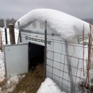 Winter Farrowing