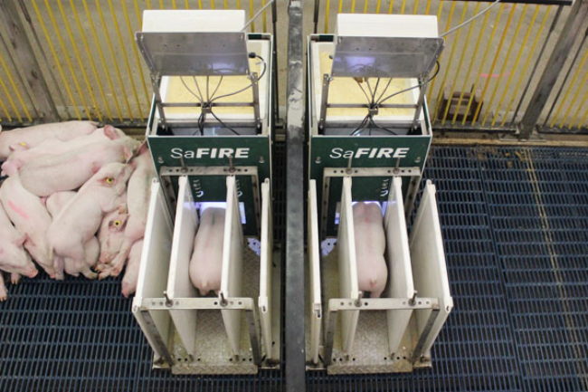 SaFIRE Pig Performance Testing System