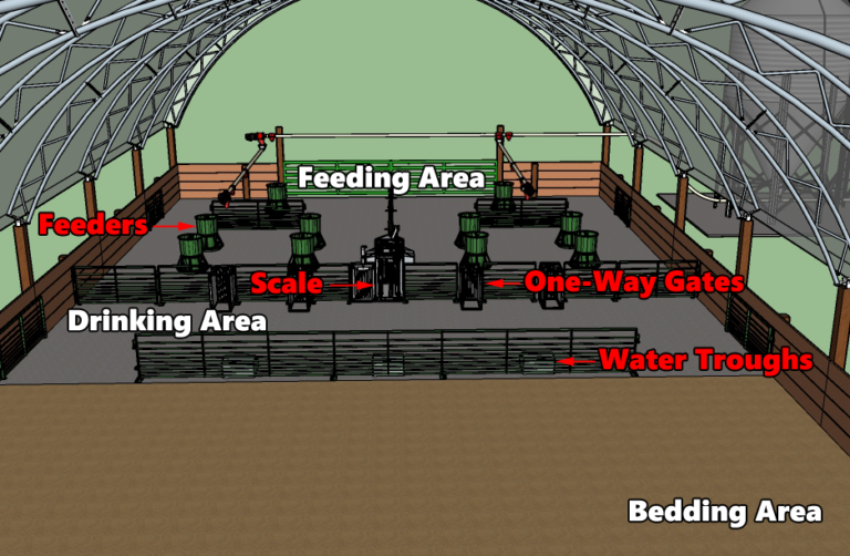 Managing Livestock in Hoop Barn Structures Osborne Livestock