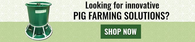 Pig Farming Equipment