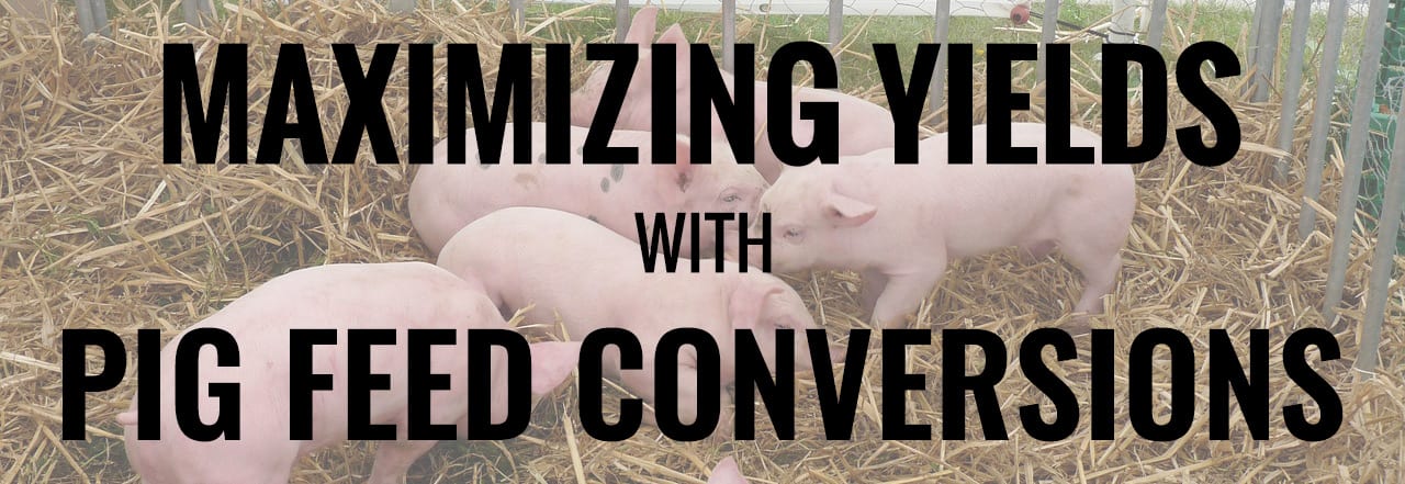 Pig Feed Conversions