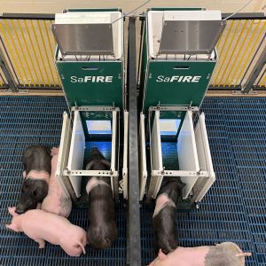 SaFIRE Pig Performance Testing System