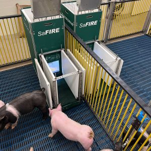 SaFIRE Pig Performance Testing System