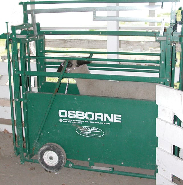 Benefits of Portable Livestock Weighing Scales