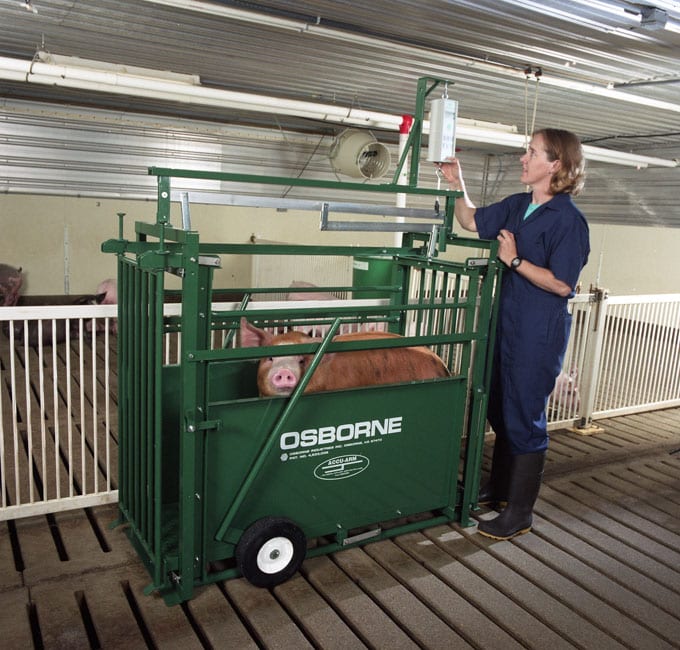 Benefits of Portable Livestock Weighing Scales