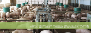 Weight Watcher System